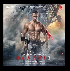 Baaghi 2 2018